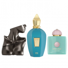 pack-saraka-113-پک-ساراکا-113