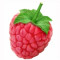 raspberry-تمشک
