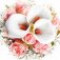floral-notes-گل‌های-معطر