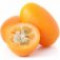 kumquat-پرتقال-کامکوات